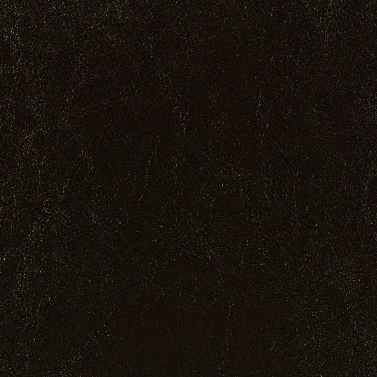 Dorian Panel Bed