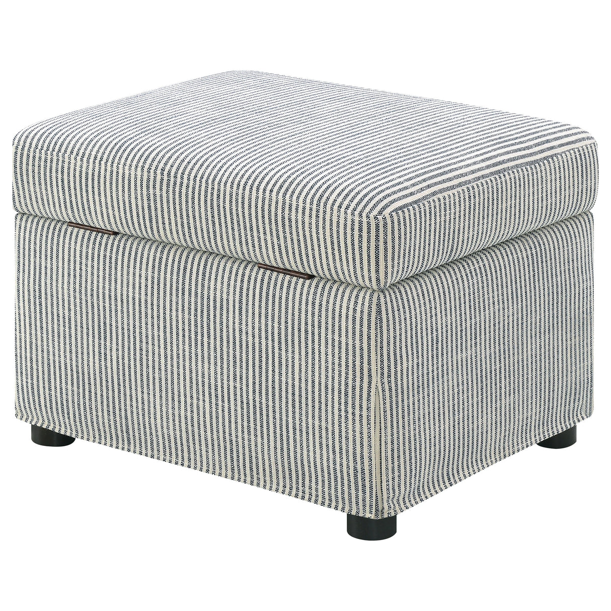 Winter Storage Ottoman
