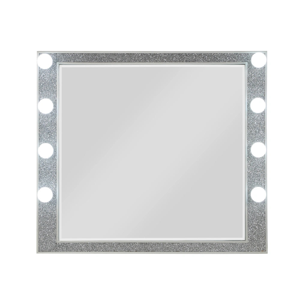 Mirror w/Light