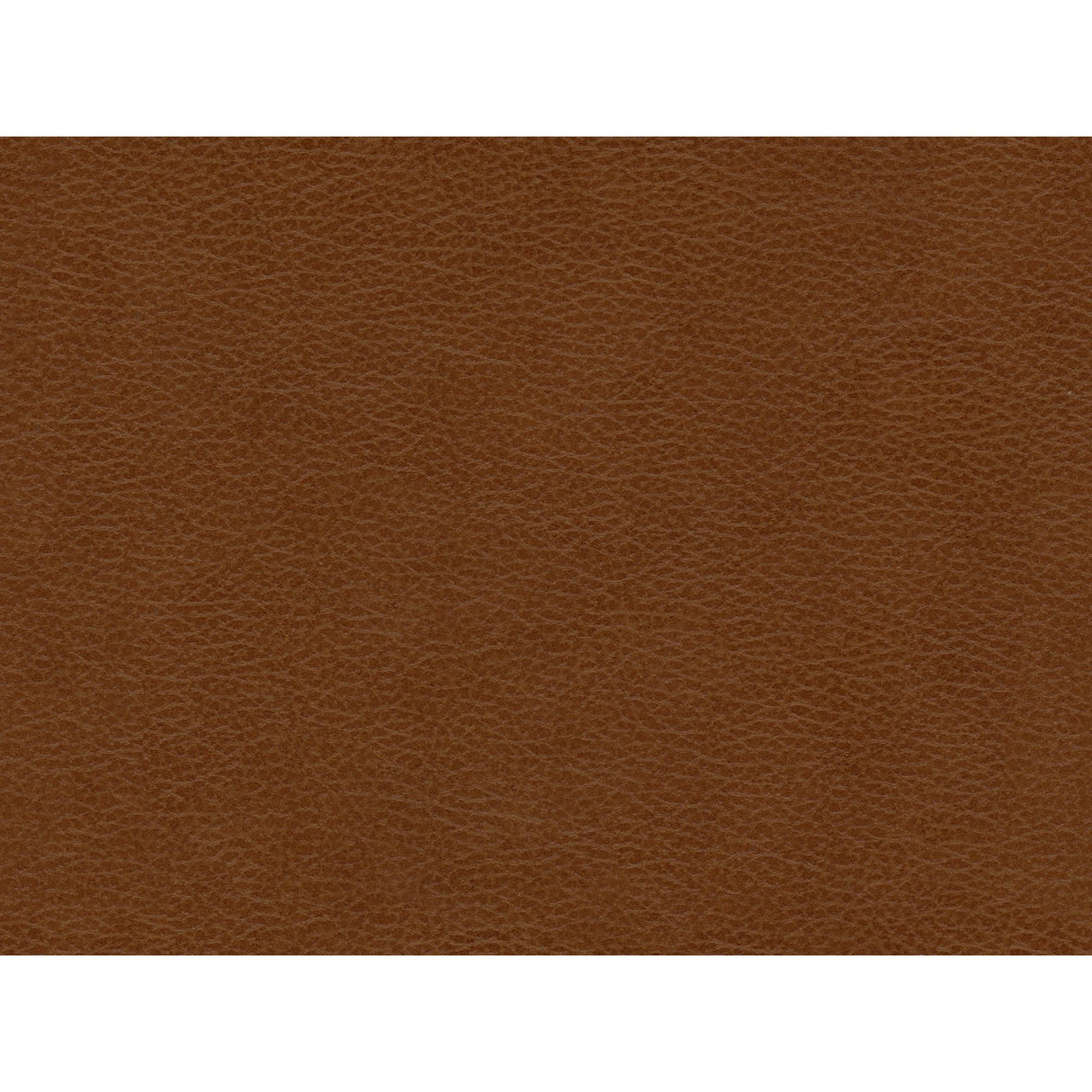 Hampton Sofa In Fiero (Top Grain/PVC)