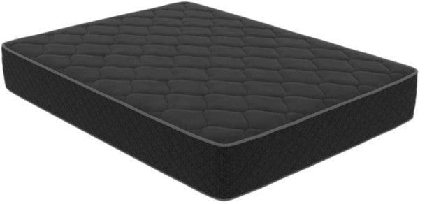 TEDDY BEAR - Black Velvet - 13" PLUSH