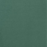 Rae Chair in Lavish 152 Green Velvet
