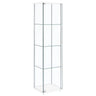 Bellatrix Curio Cabinet
