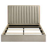 Arielle Bookcase Bed