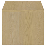 Canoga End Table