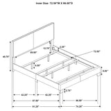 Dorian Panel Bed
