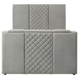 Tara Panel TV Bed