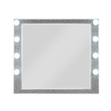 Mirror w/Light