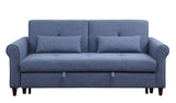 Sofa w/Sleeper