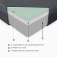 Burnham-11" Green Tea Gel-Infused Memory Foam Mattress Display Cube image