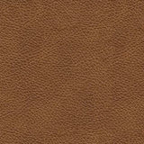 Carianna Loveseat