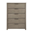 Dalston-Chest image