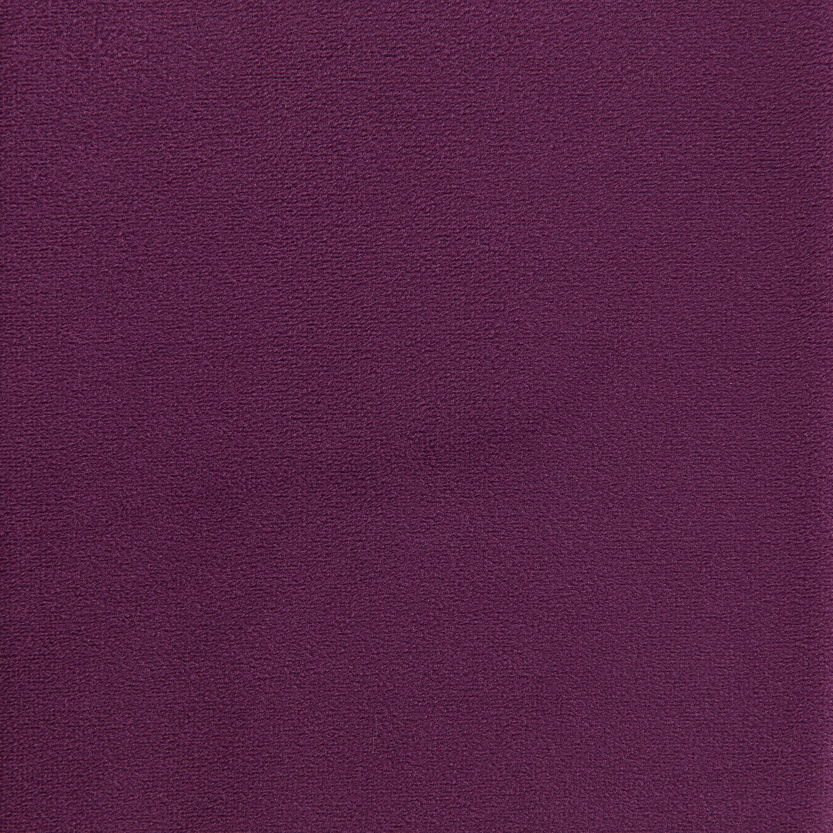 Rae Chair in Lavish 152 Velvet