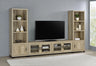 Sachin Entertainment Center