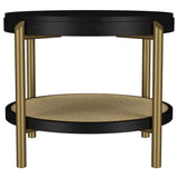Arini End Table