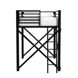 Talia Loft Bunk and Ladder