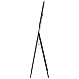 Windrose Standing Mirror with LED Lighting