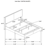 Dorian Panel Bed