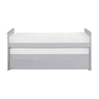Orion-(4) Twin/Twin Bed with Twin Trundle image