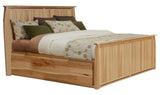 A-America Adamstown King Panel Storage Bed