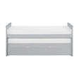 Orion-(4) Twin/Twin Bed with Twin Trundle image