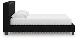 Zuraleus Bed