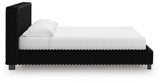Zuraleus Bed