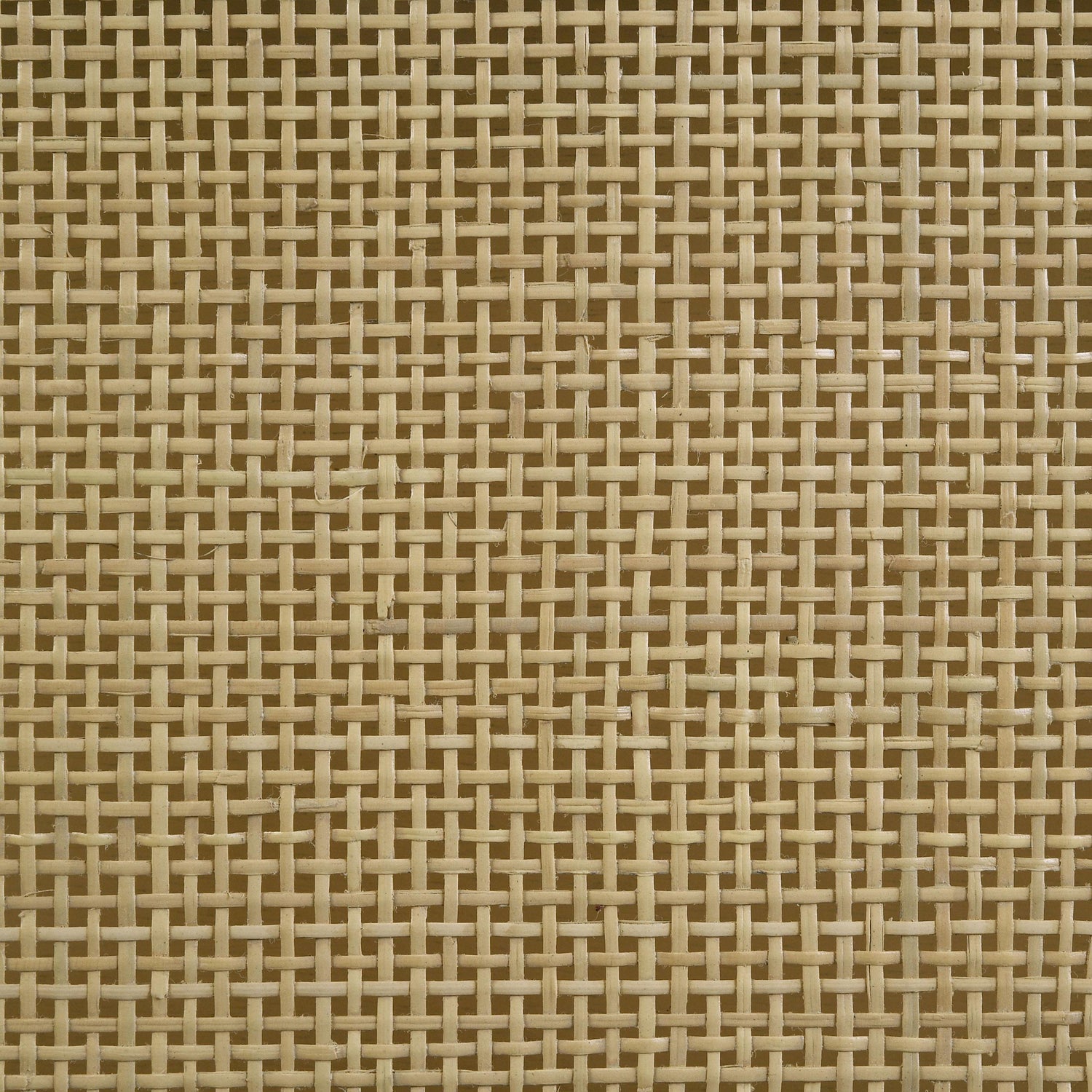Arini Panel Bed