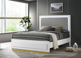 Caraway Panel Bed with LED Lighting