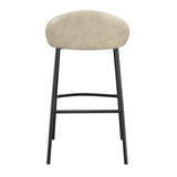 Braylon Bar Stool