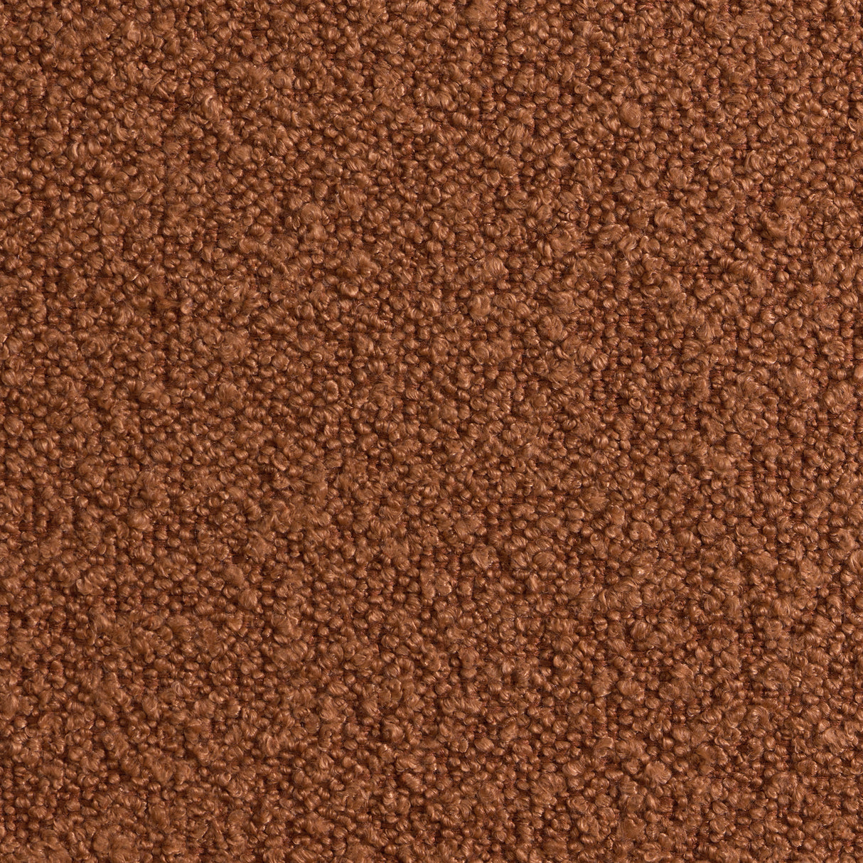 Kiwi Chair in 8077 Boucle Orange & Espresso