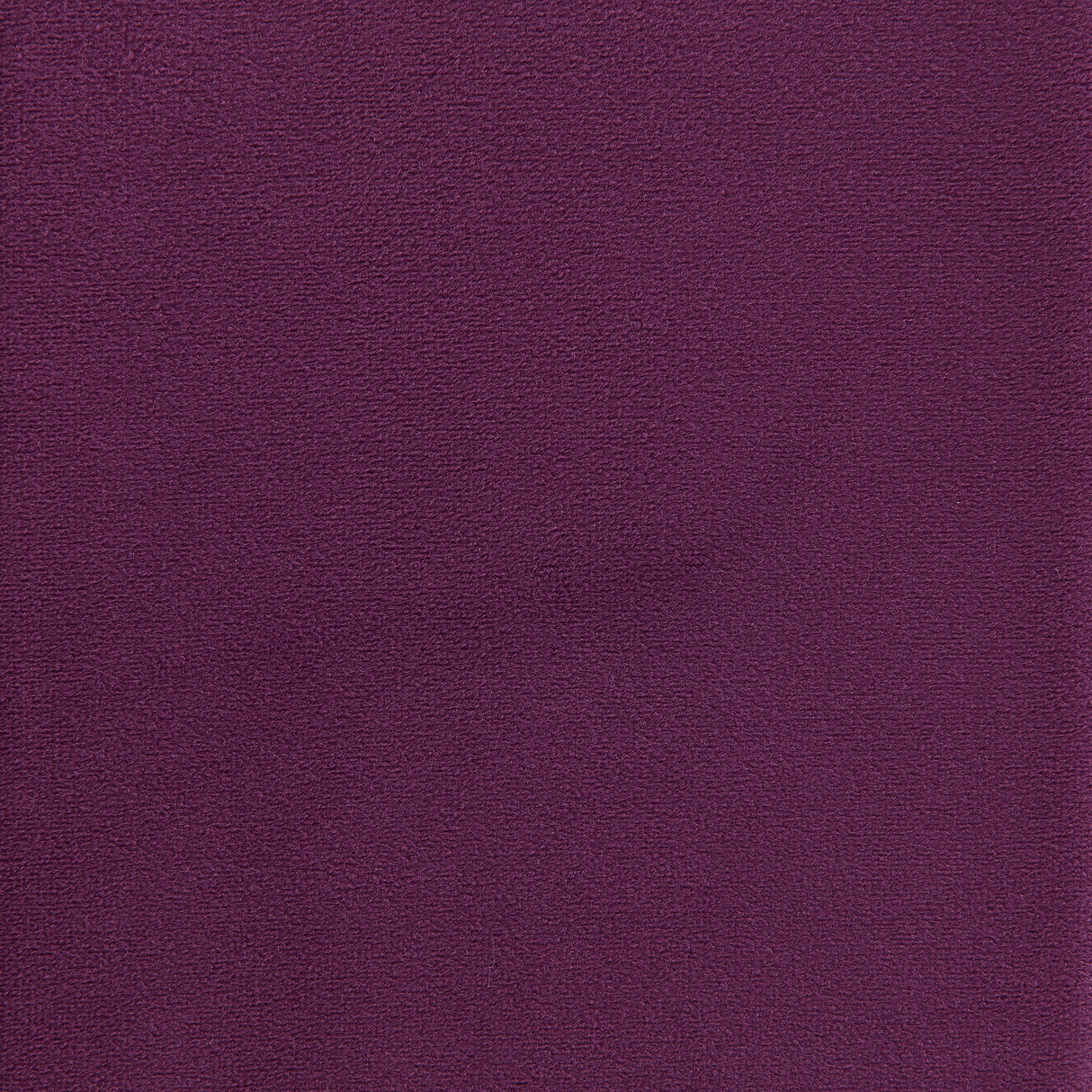 Rae Chair in Lavish 152 Purple Velvet