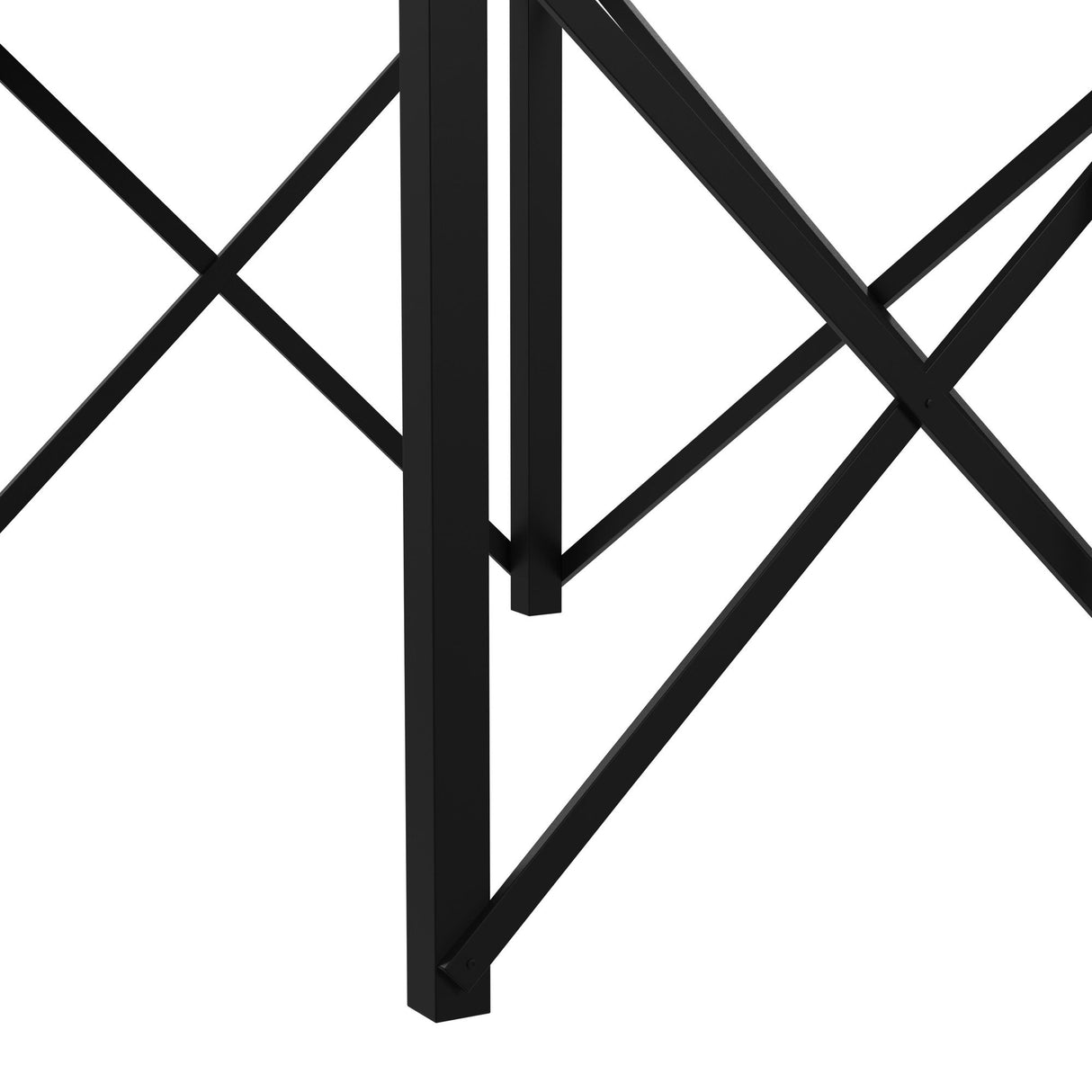 Talia Loft Bunk and Ladder