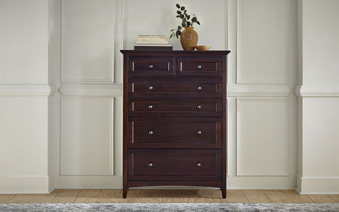 WSLDM5600 6 Dr Chest