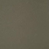 Wildcat Motion Recliner in Aviarah Grey