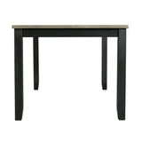 Martin 5 pc Dining Set (Black Base)