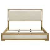 Hyland Panel Bed with LED Lighting