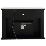 Fireplace w/LED