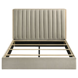 Arielle Bookcase Bed