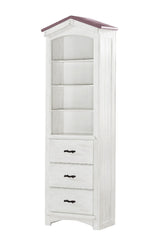 Bookcase Cabinet