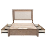 Kenora Panel Platform Storage Bed with LED Lighting