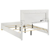 Marceline Panel Bed with LED Lighting