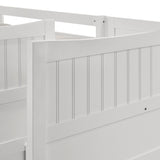 Sami Bunk Bed