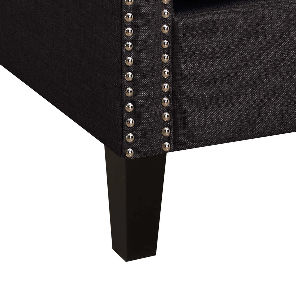 Erica 497 Chair w/Chrome Nails