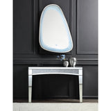 Accent Mirror w/LED