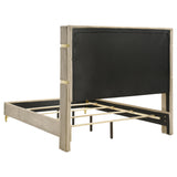Lucia Wingback Bed