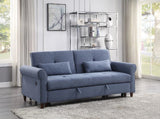 Sofa w/Sleeper
