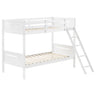 Littleton Bunk Bed